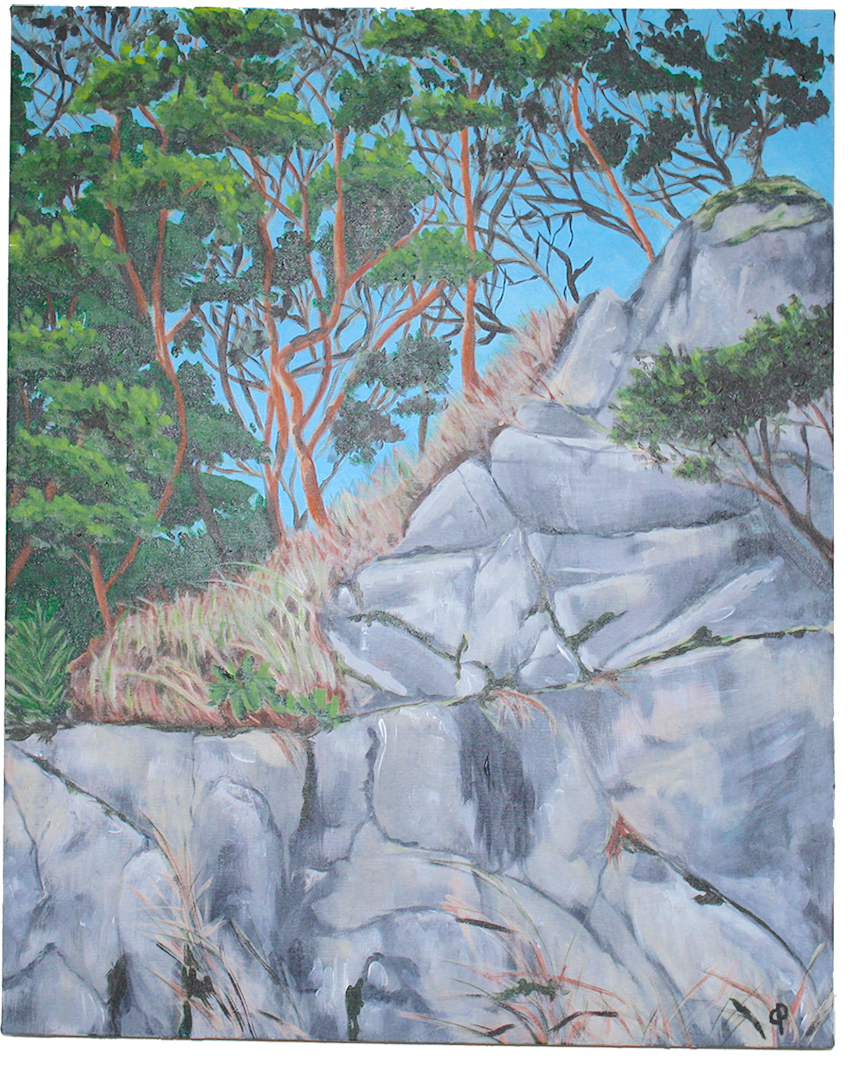 Arbutus Cliff by Catherine Patterson